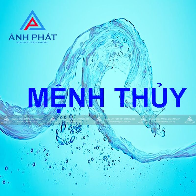 Mệnh Thuỷ Hợp Cây Gì để Bàn Làm Việc